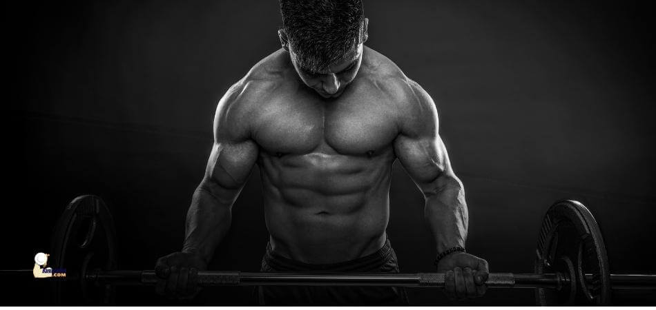 build muscles fast