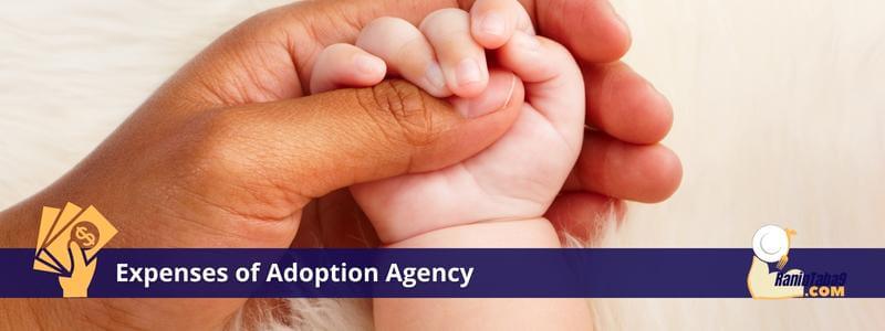 Expenses of Adoption Agency 